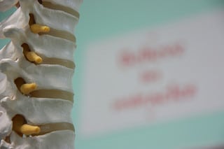 Spine