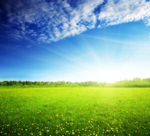 Beyond Vitamin D: How Sunlight Benefits Your Health - Innovative Health And  Wellness